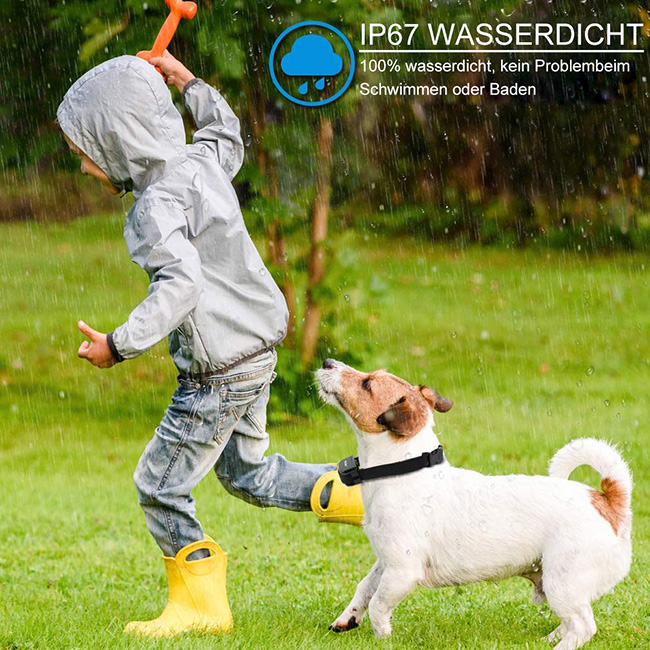 Fernbedienung Hundeerziehung halsband 300m Wiederaufladbare&wasserdichte reduce Bellen Erziehungshalsband für 2 Hunde